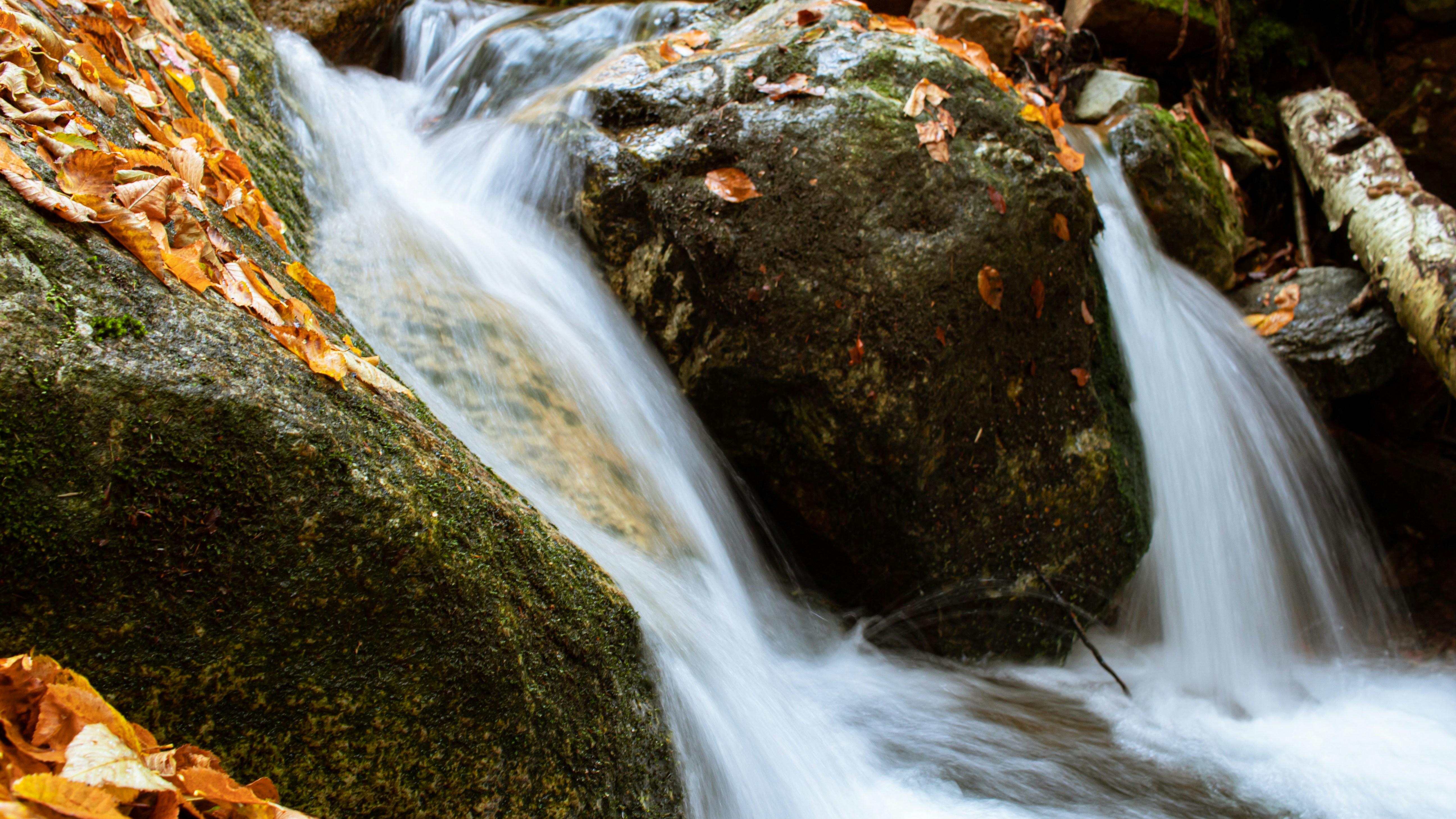 Photo by oliver_fetter