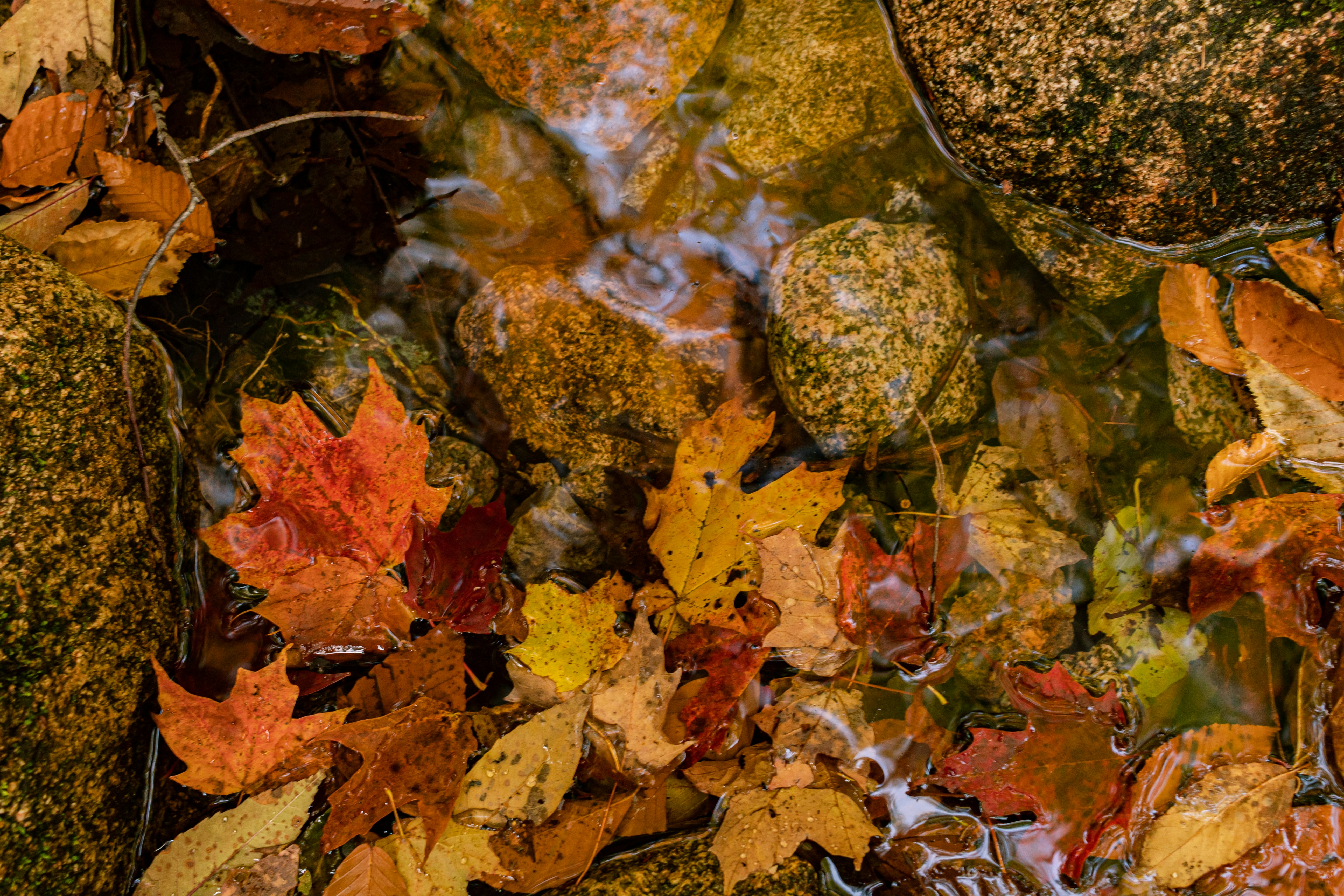 Photo by oliver_fetter