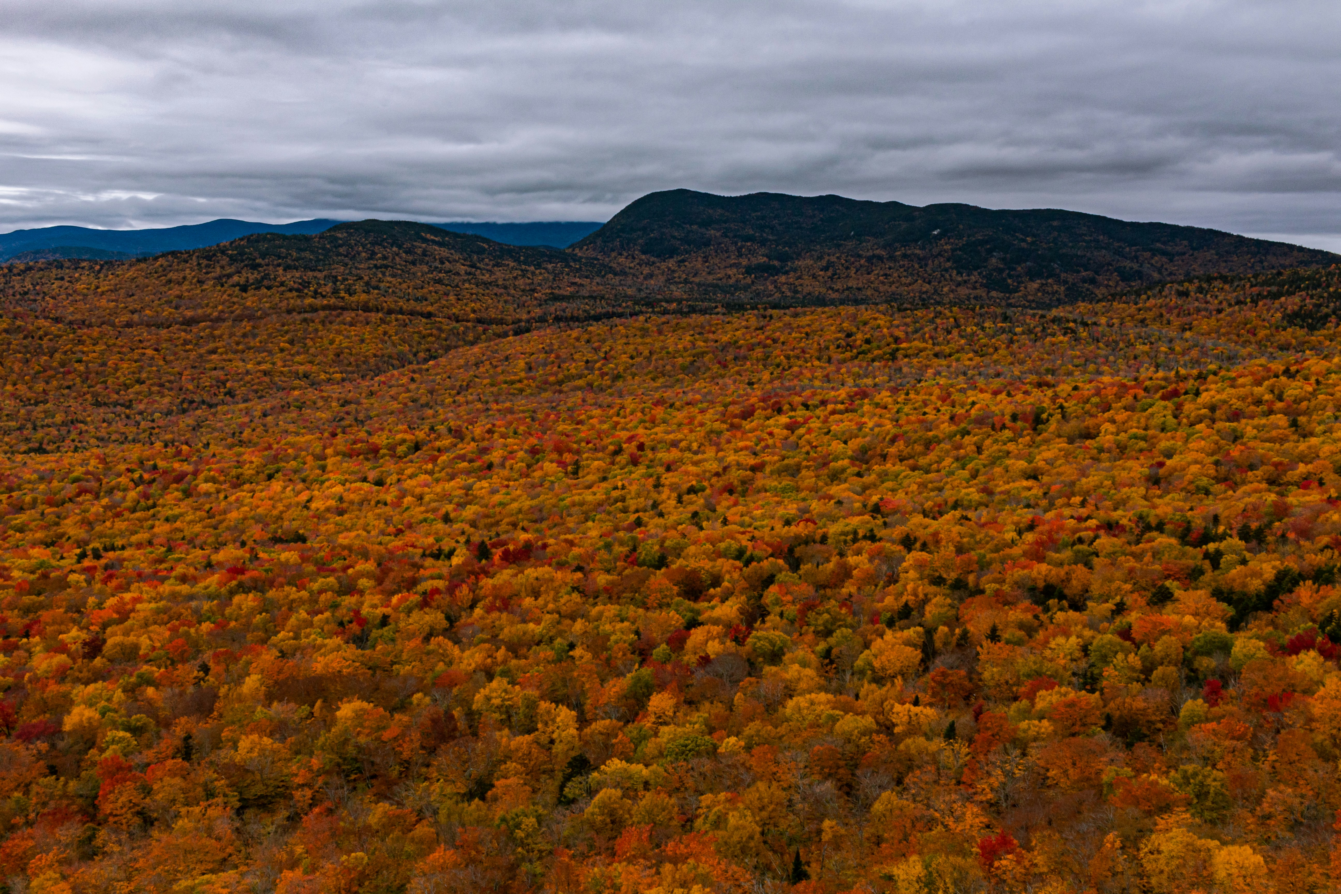 Photo by oliver_fetter