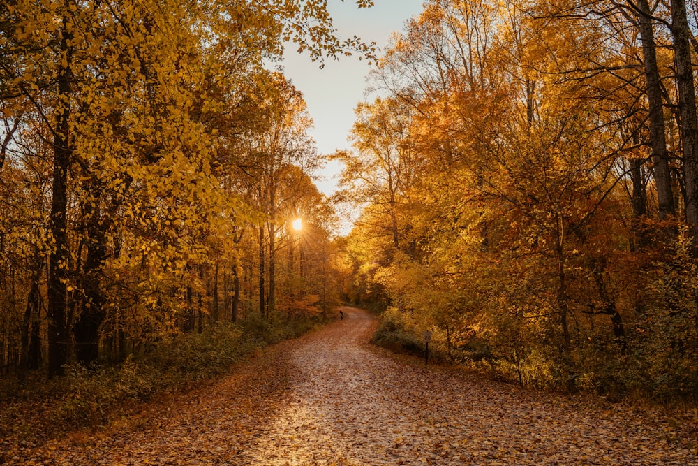 empty footpath