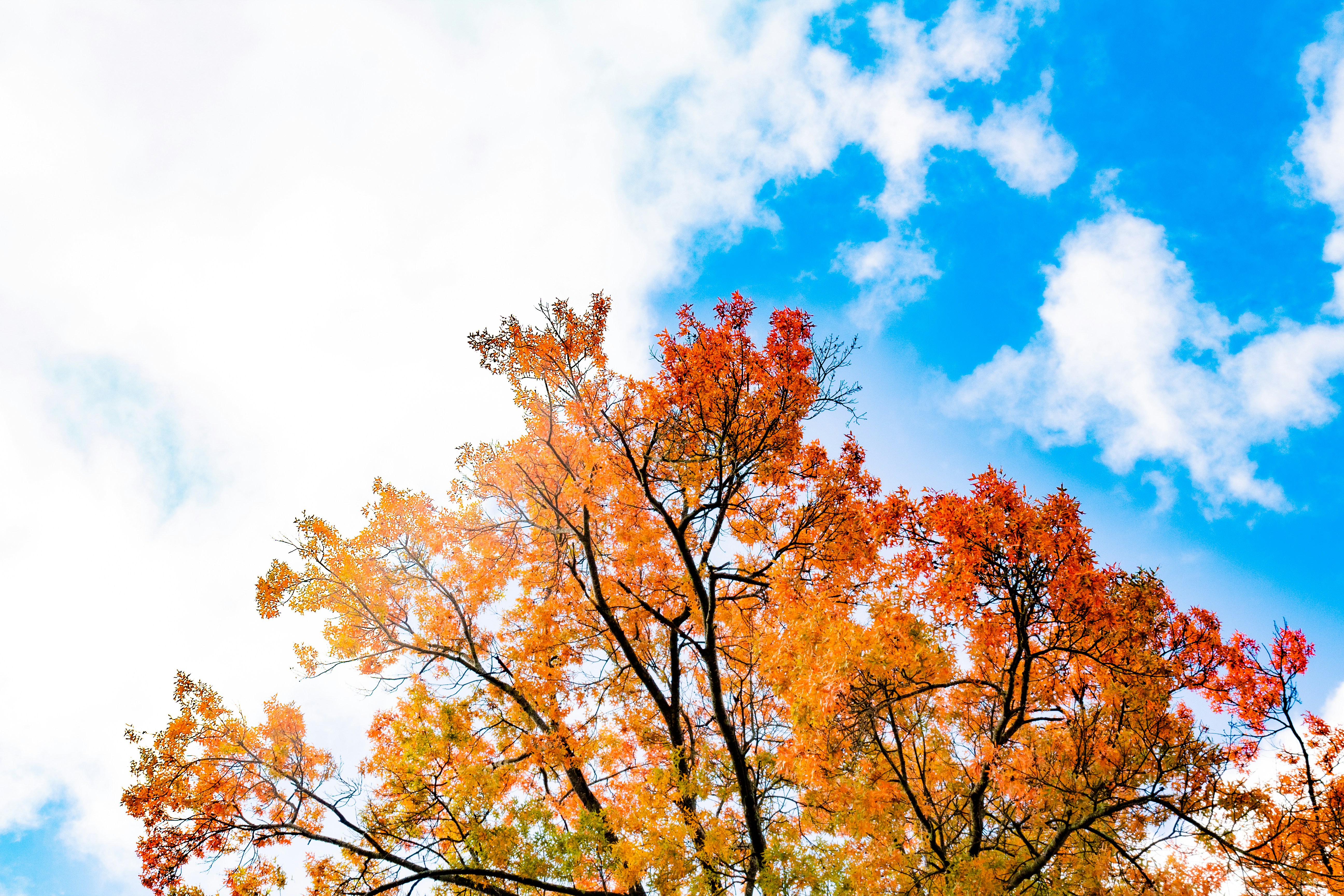 Photo by oliver_fetter