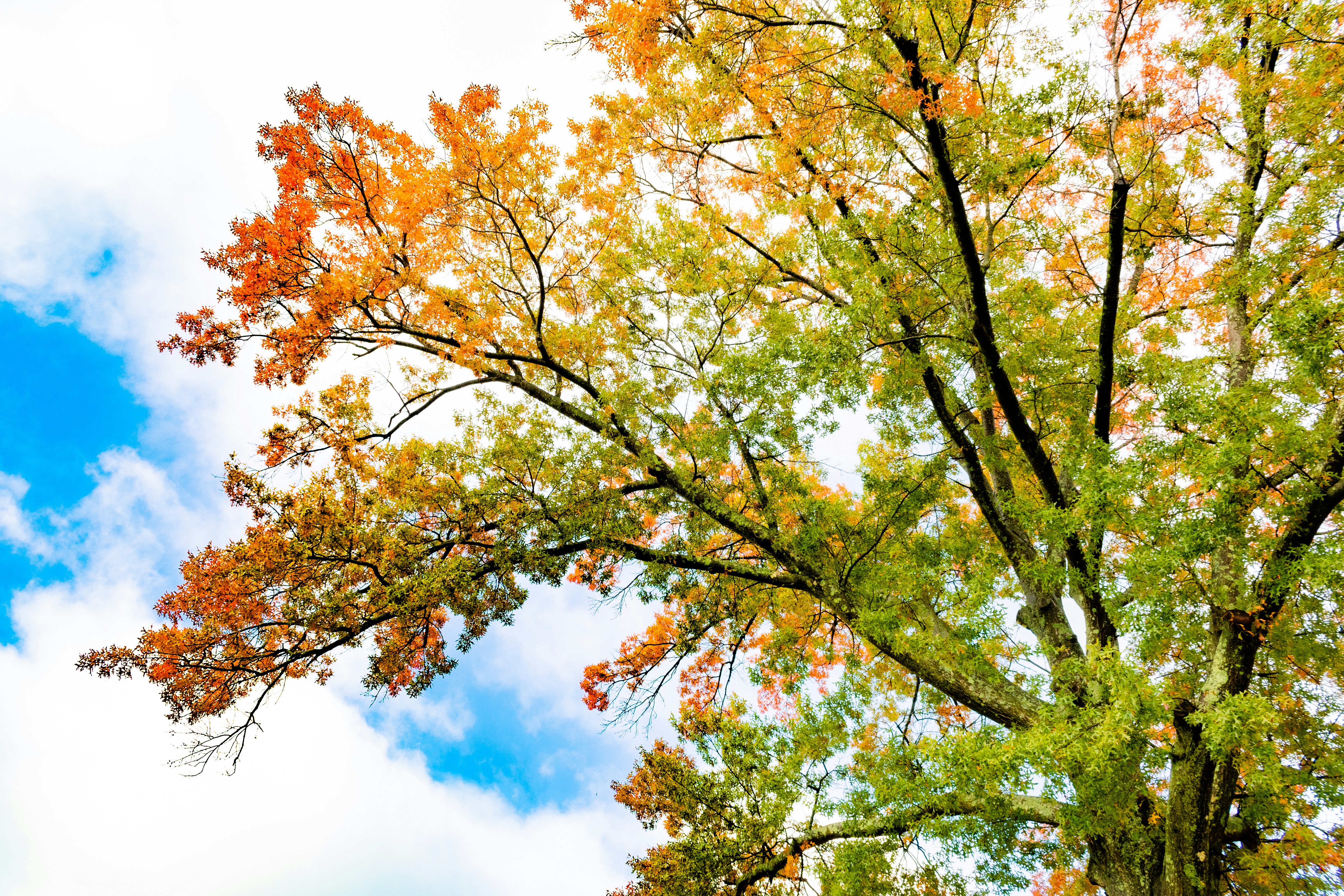 Photo by oliver_fetter