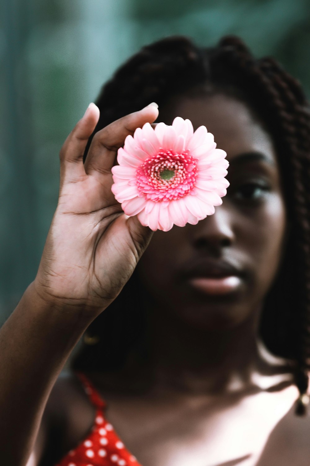 woman holding pink and white cluster flowers