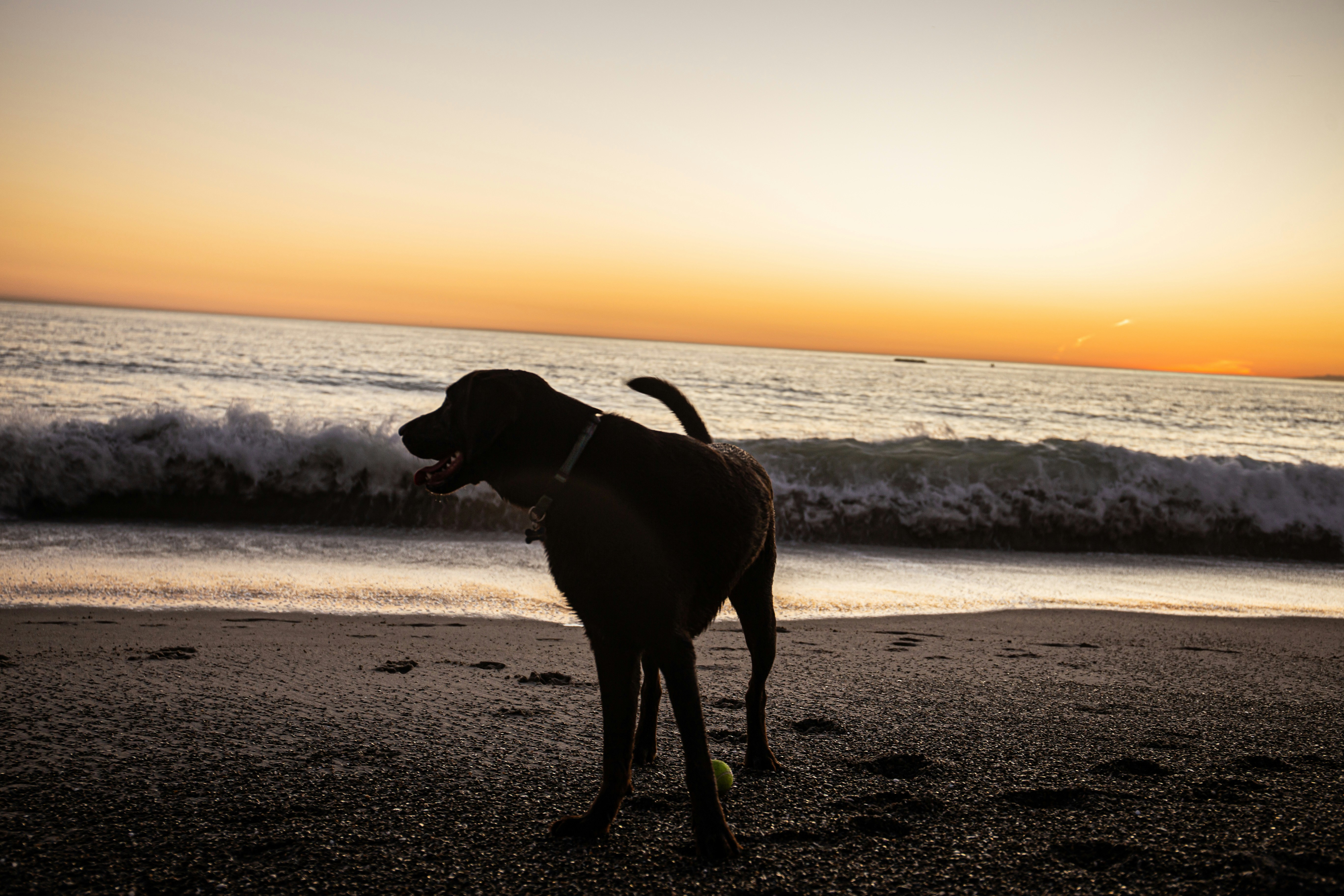 Photo by reednaliboff