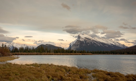 snow covered mountain near body of water under cloudy sky in Vermilion Lakes Canada