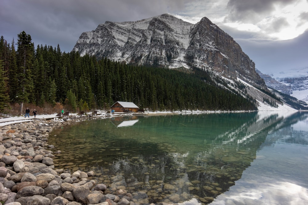 gray rock mountain and green pine trees