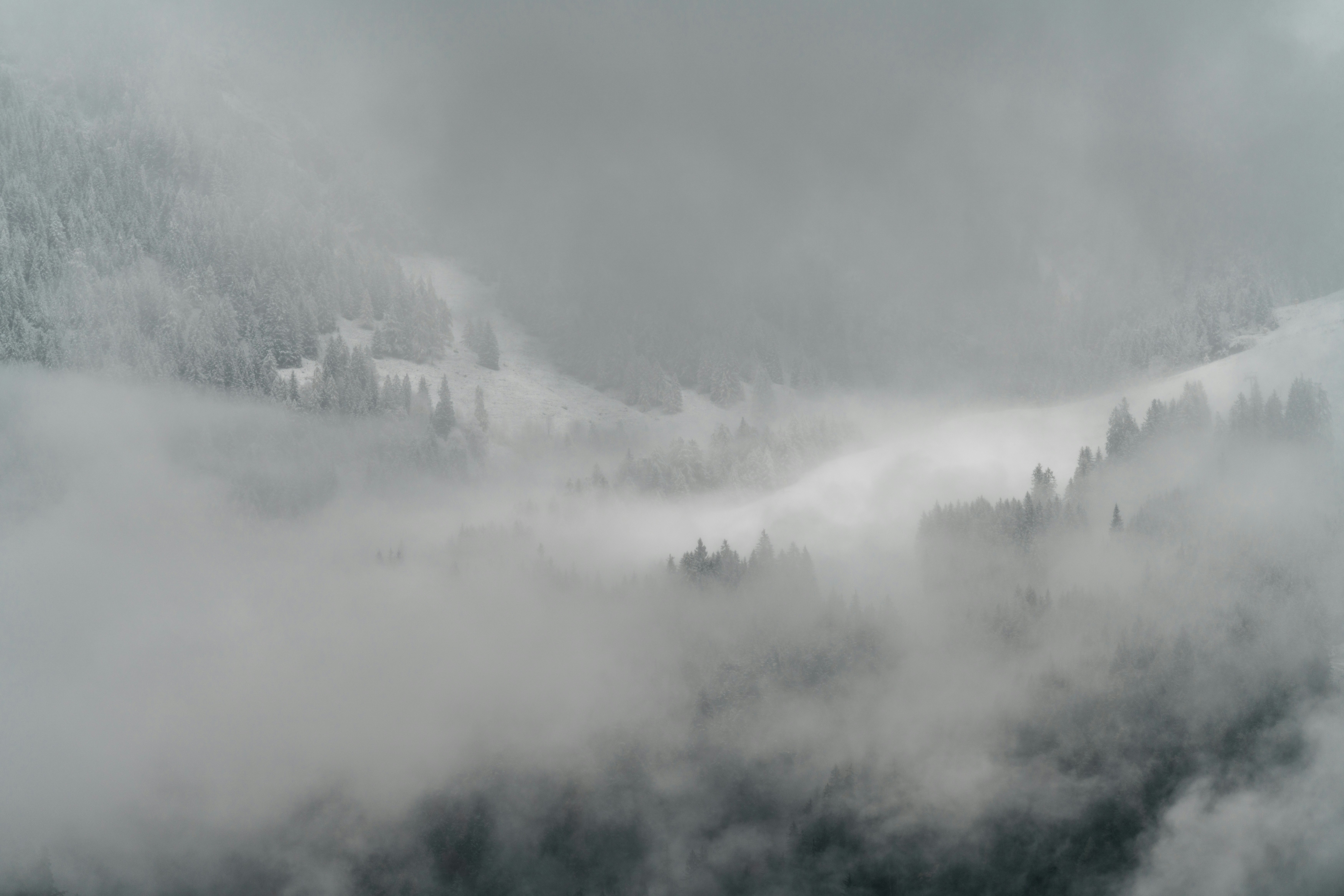 Photo by danielsessler