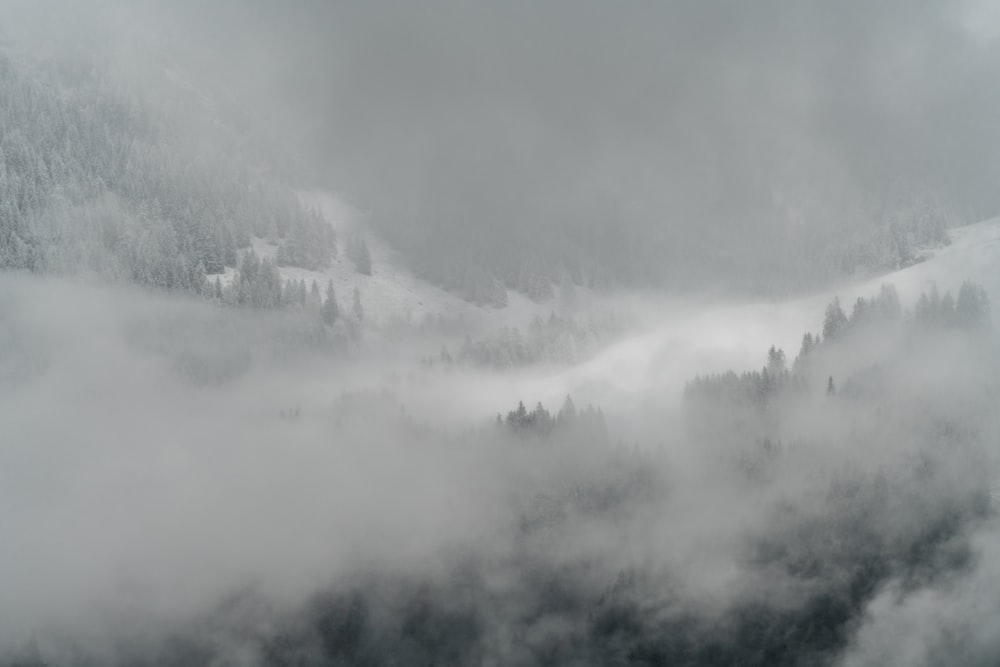 mountain covered with white clouds