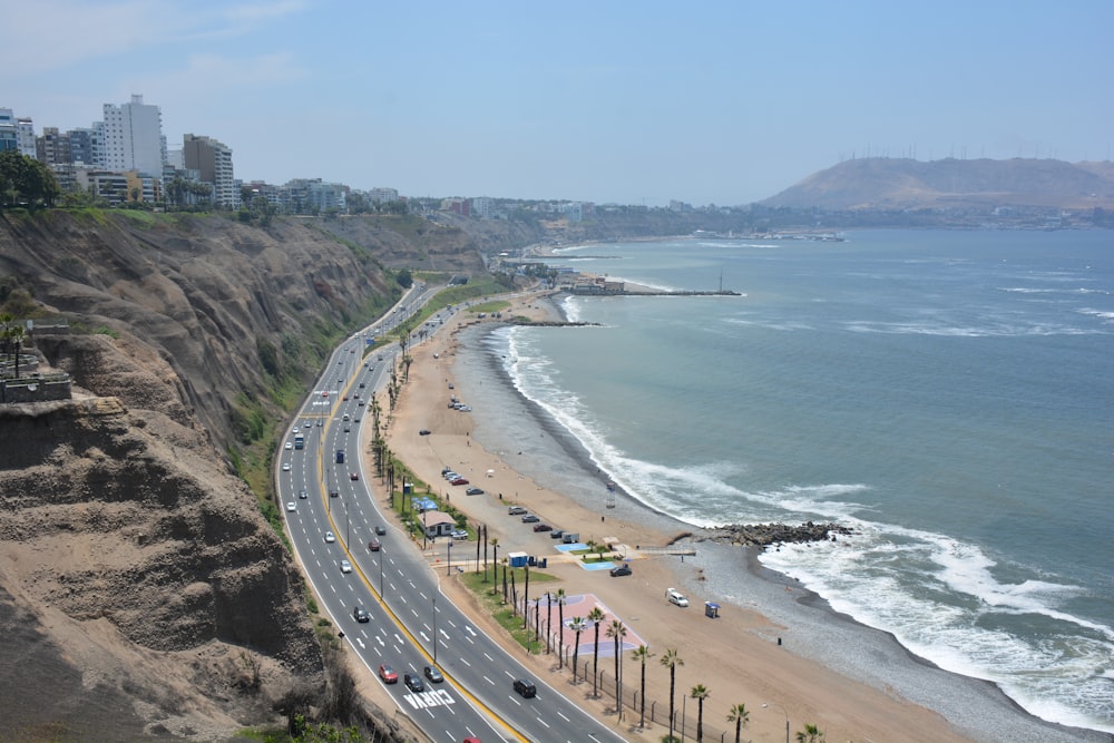 aerial photography of people in the beach