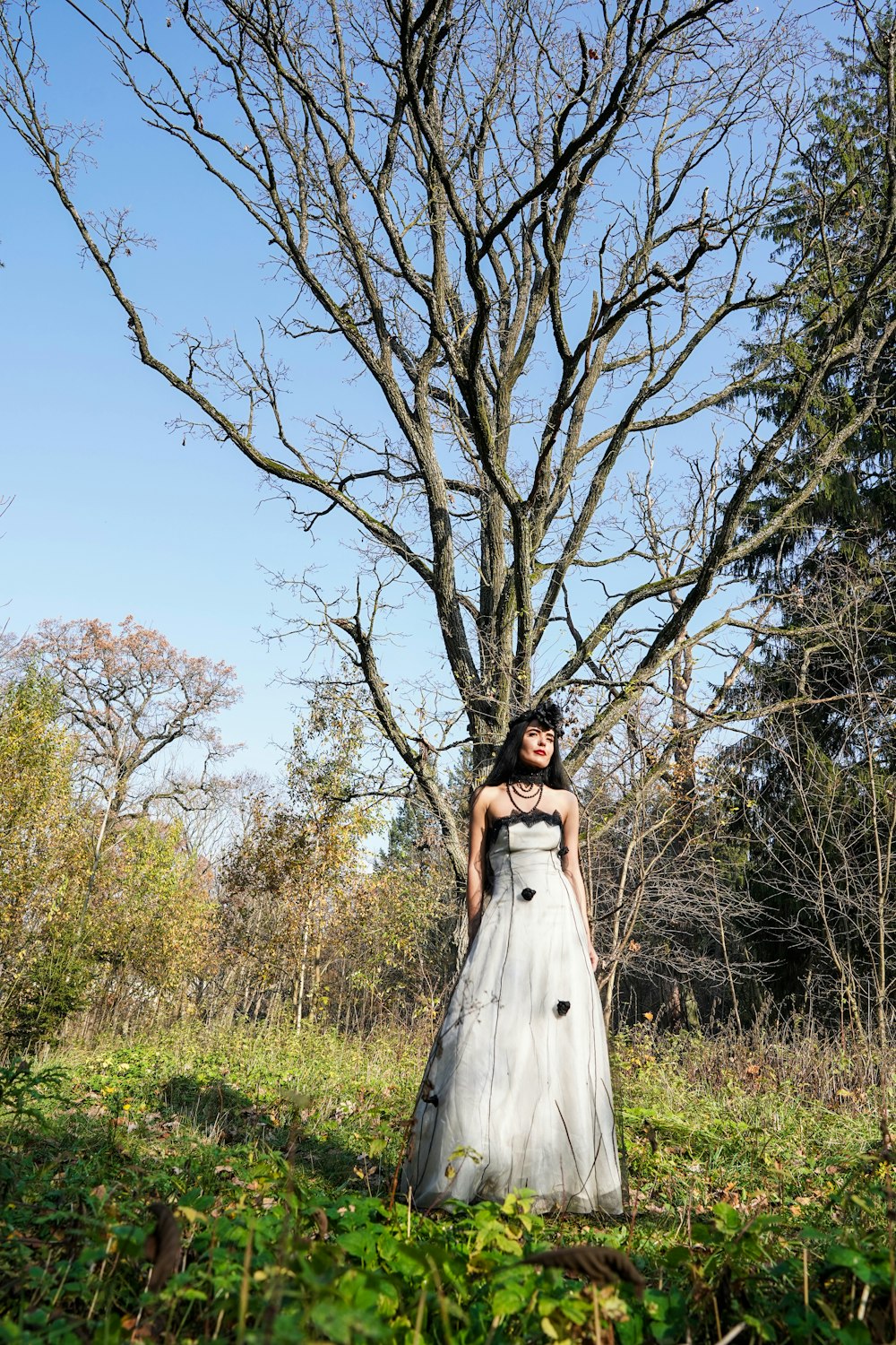 woman wearing dress standing beside bare tree