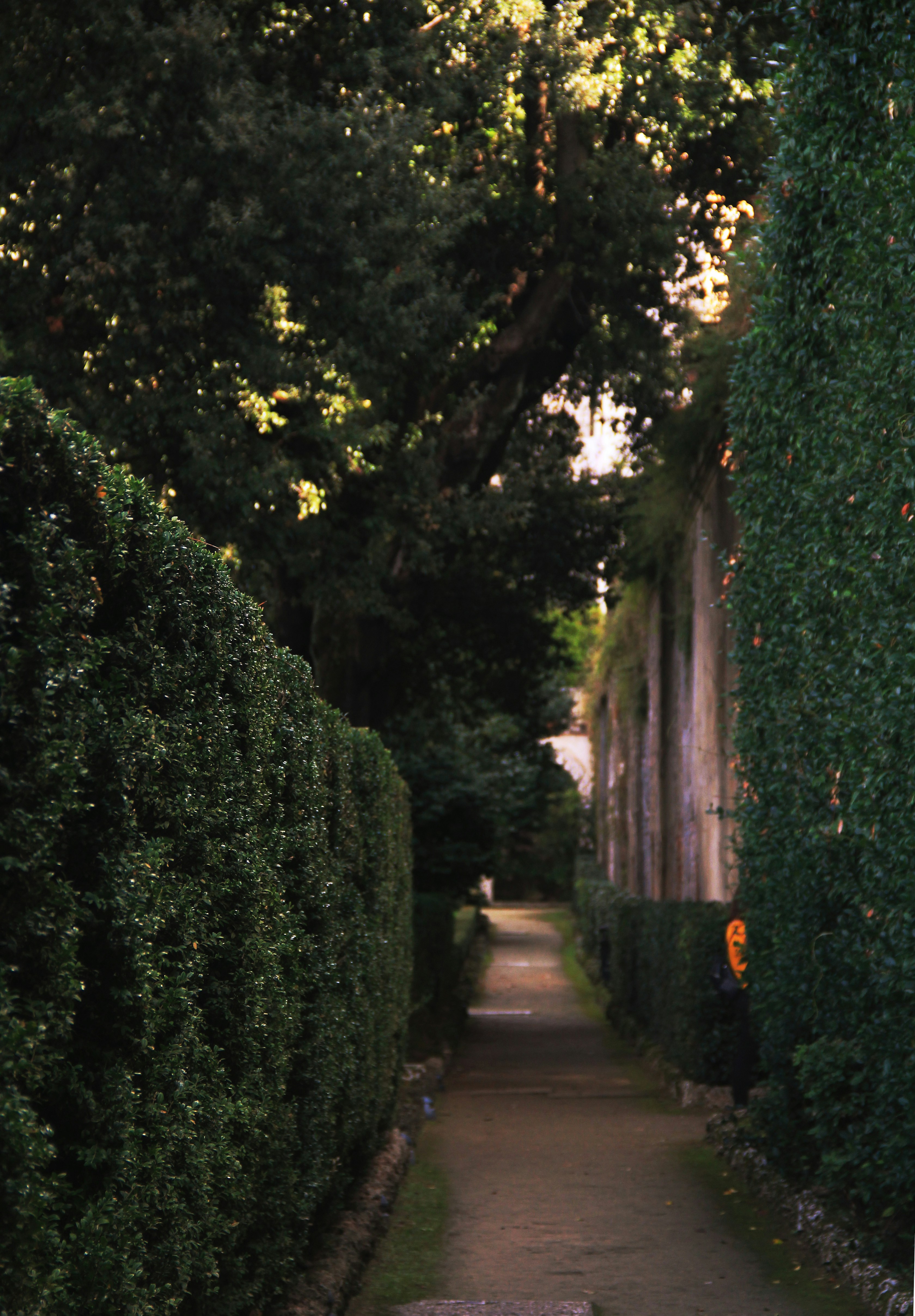 Photo by yangsmileeee