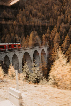 red train on gray stone bridge