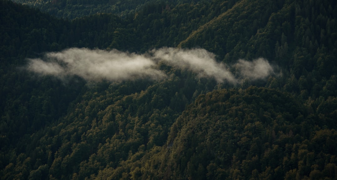 green mountain during daytime