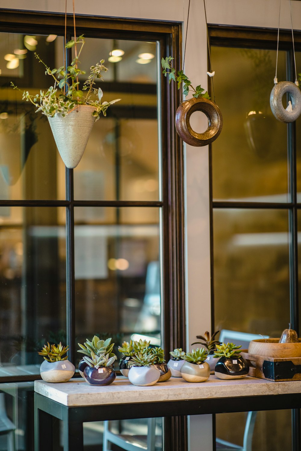 hanging plants over table with succulents plants