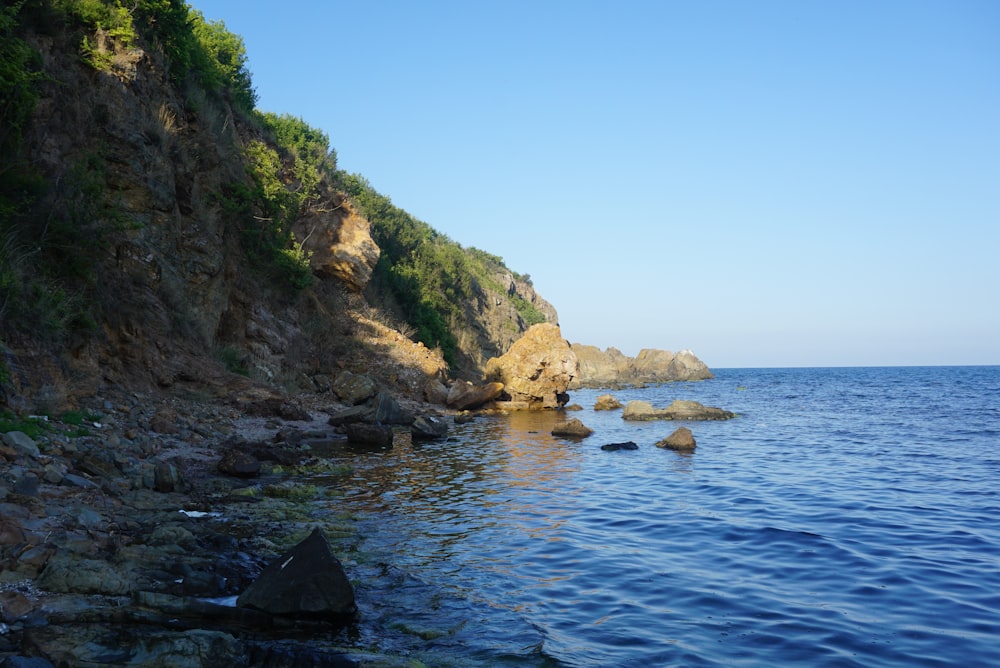 brown seashore rocks with green vegetation during daytime
