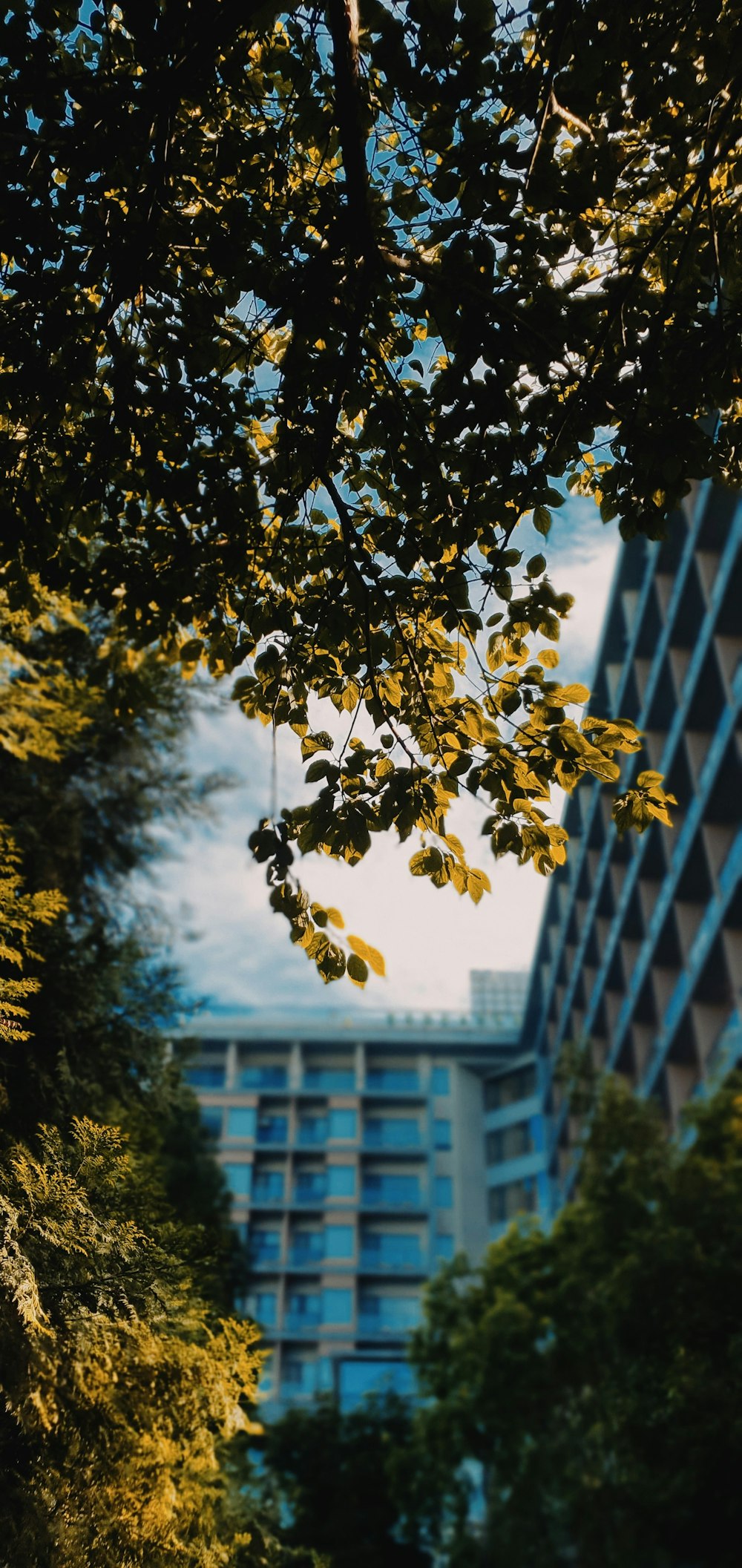 grey concrete building during daytime