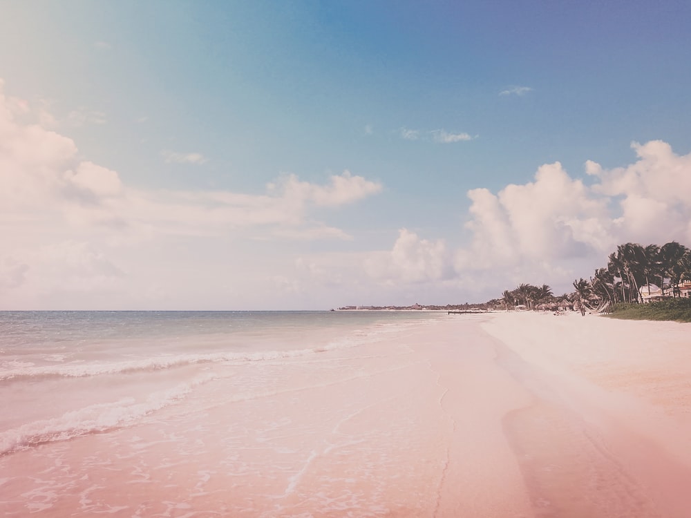 landscape photography of beach coast