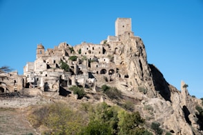 brown concrete buildings