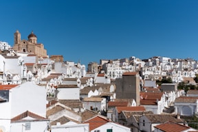 aerial photography of houses