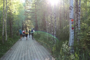 A group of hikers with backpacks walks along a wooden path through a serene forest. The path is surrounded by tall, leafy trees with sunlight streaming through the branches, creating a lens flare effect. Colored markers are attached to one of the trees.