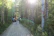 Group of happy hikers posing on a forest trail with backpacks.