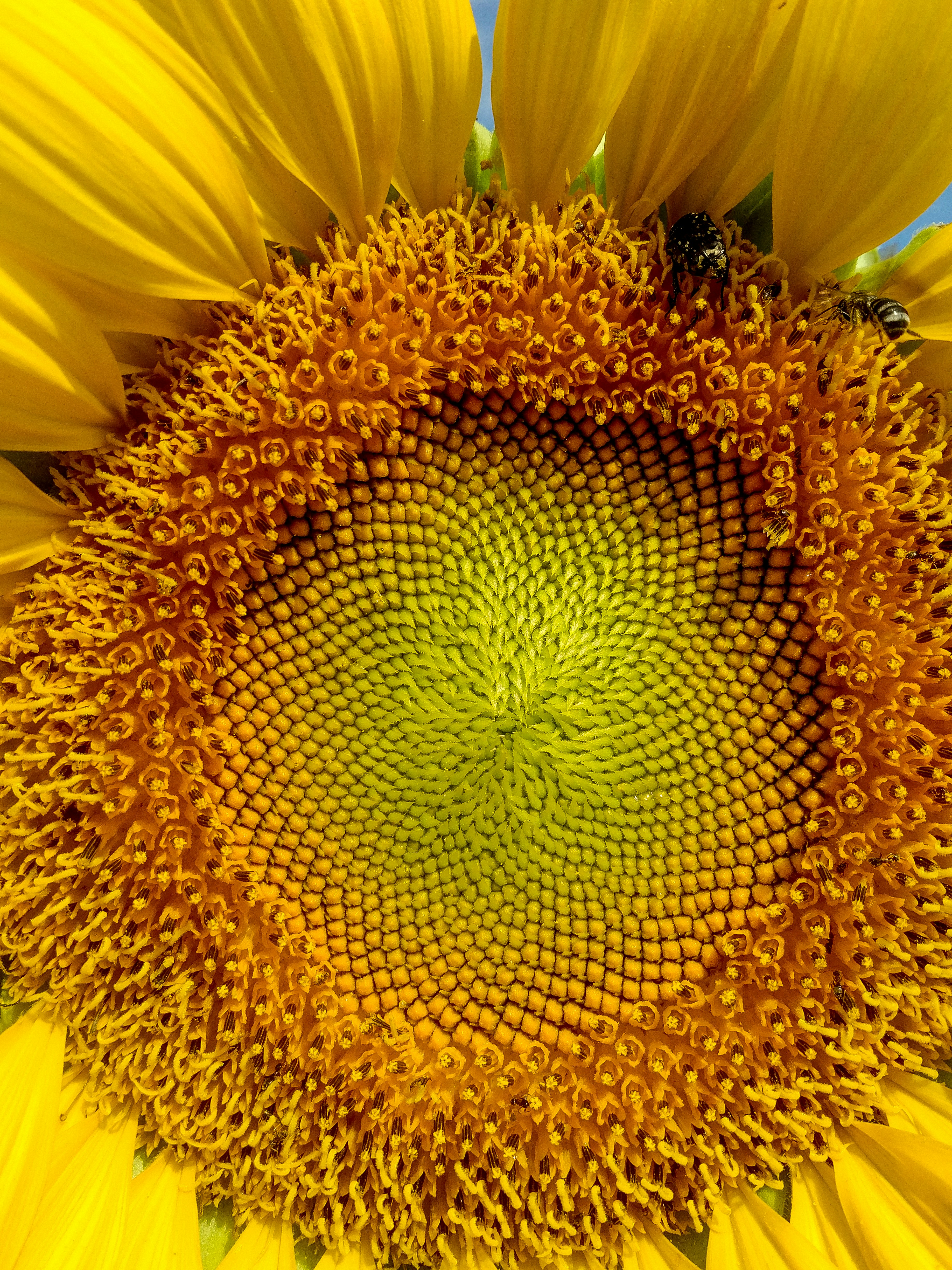 Photo by amir_talaei