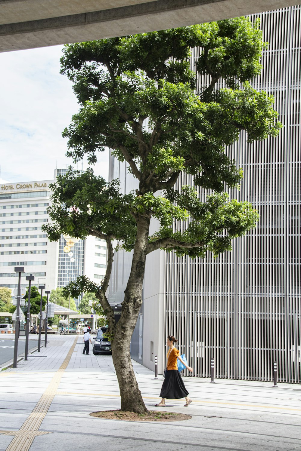 woman walking near green leafed tree during daytime