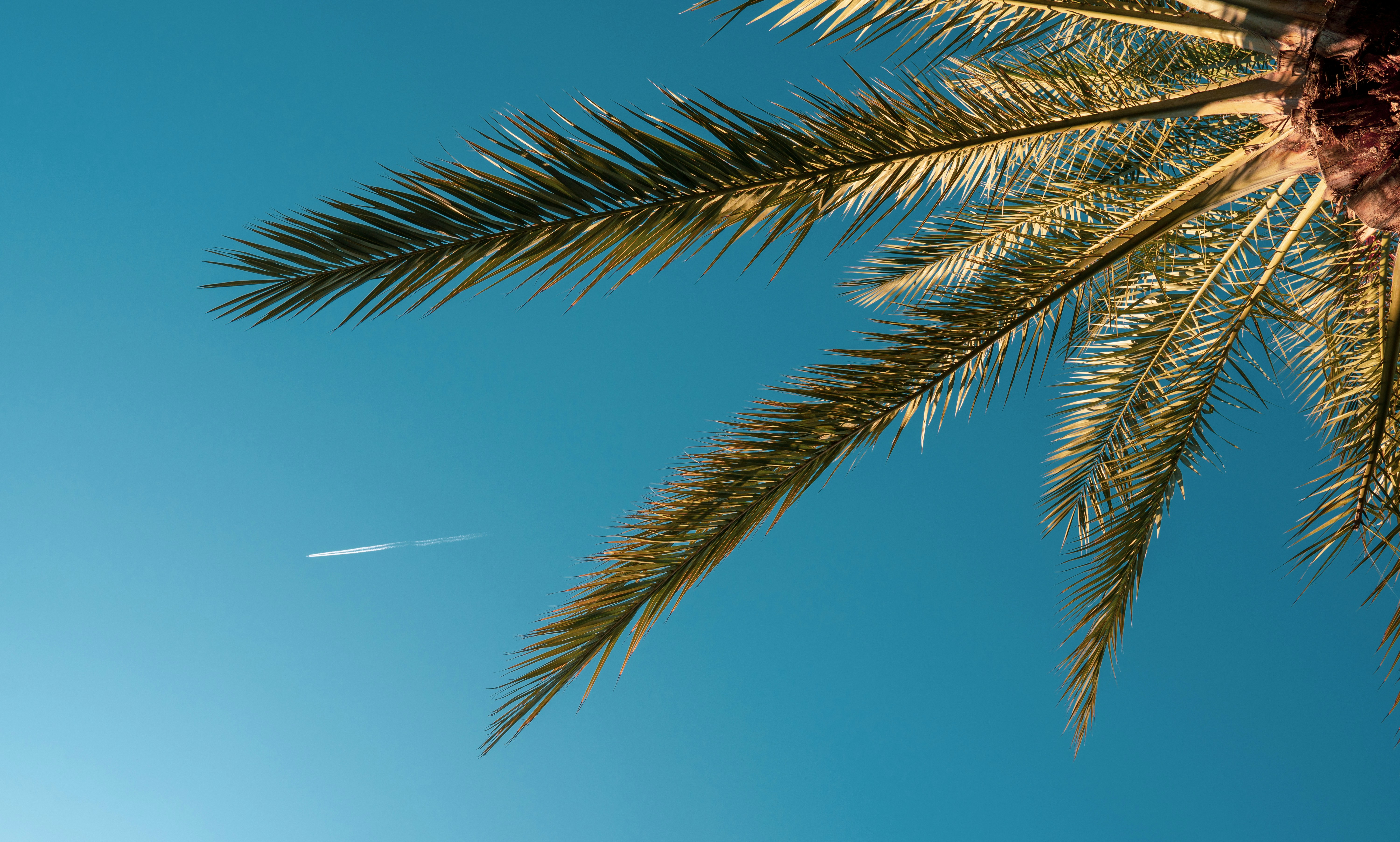 Photo by tombrunberg