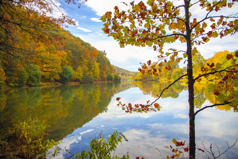 body of water under clear sky