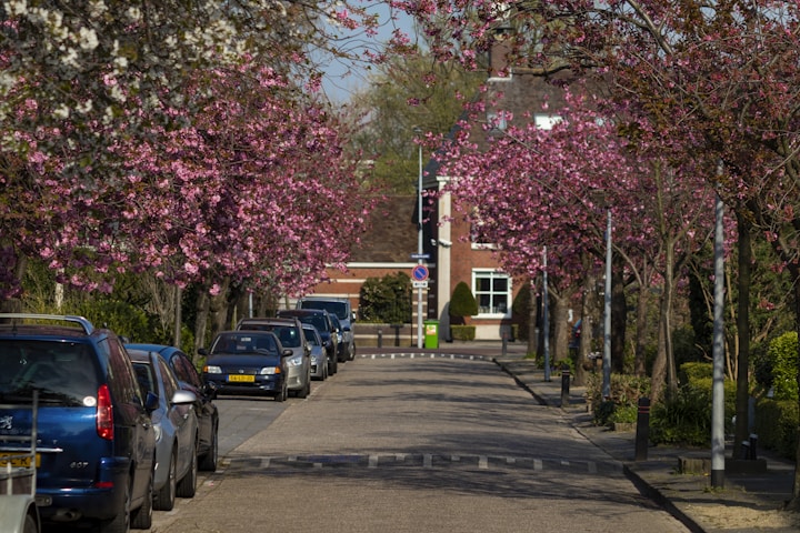 Alcorn State University
