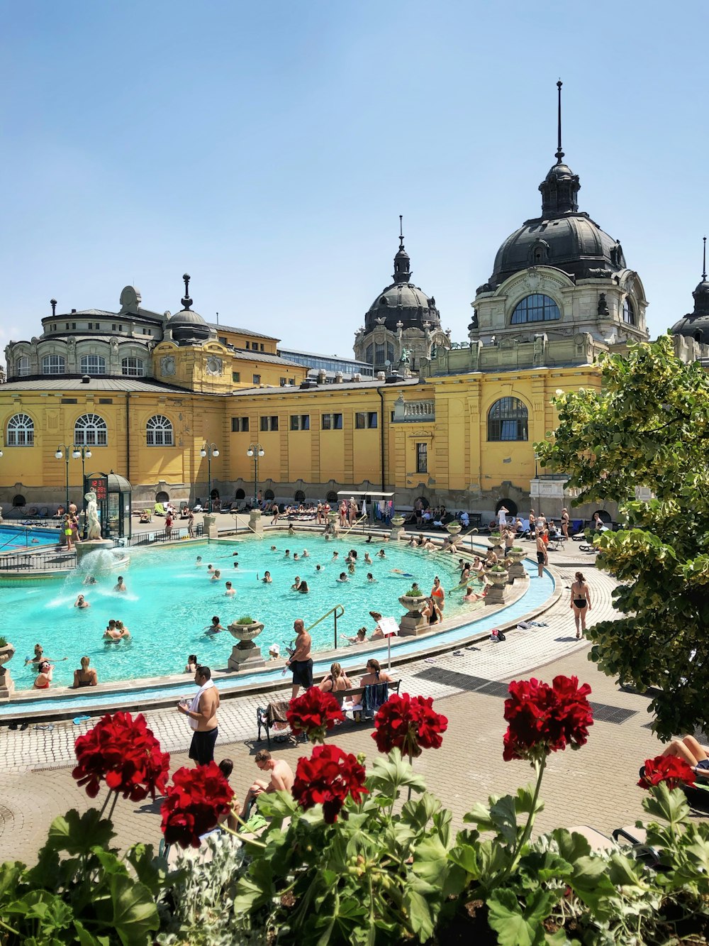 Fotografía de personas en la piscina durante el día