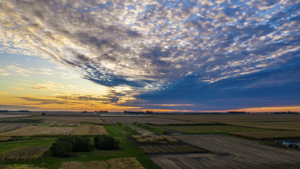 green grass field and sunset