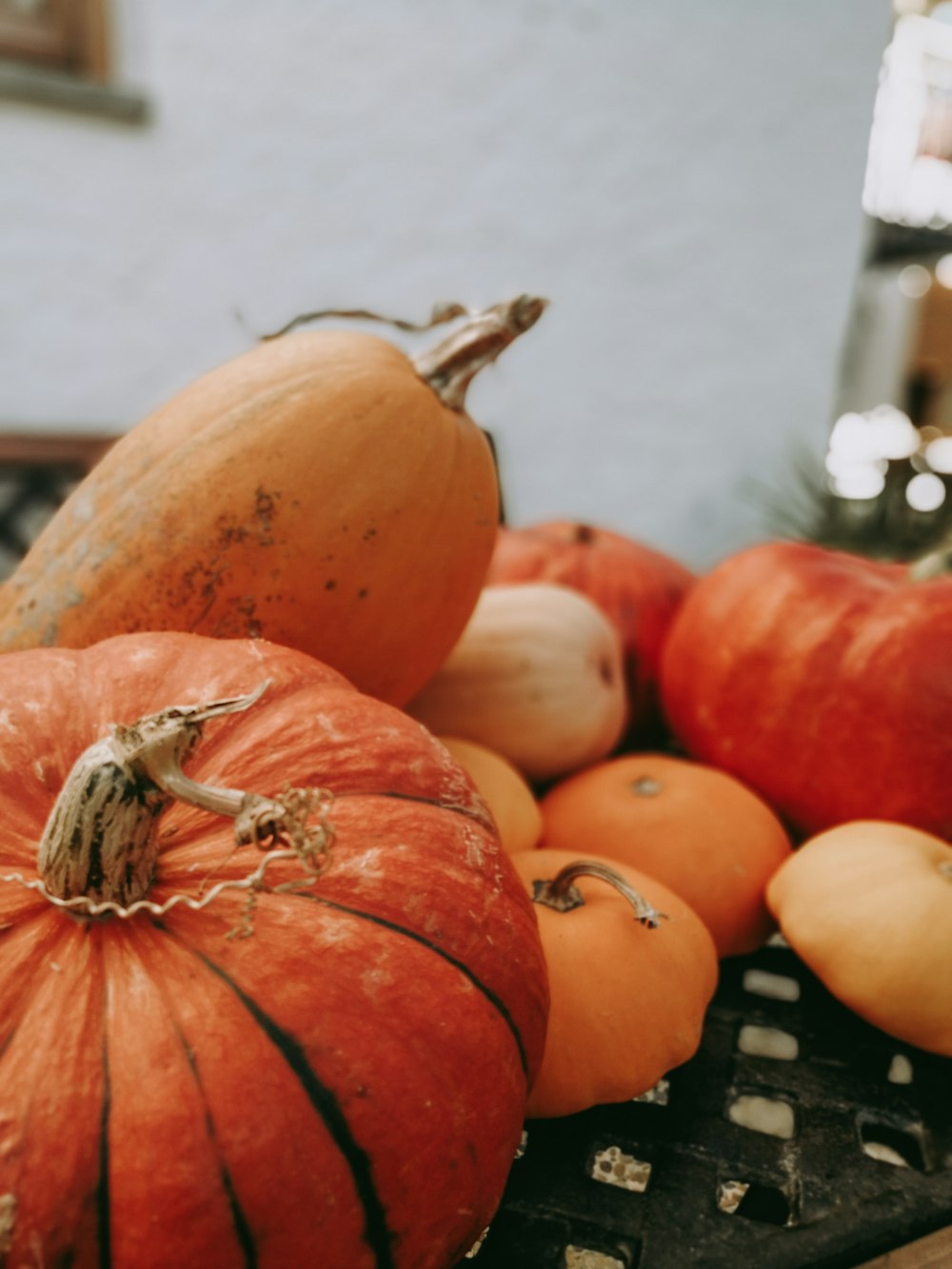 pile of pumpkins