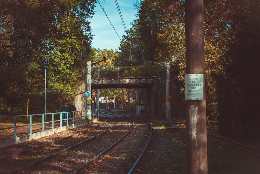 Rails de train