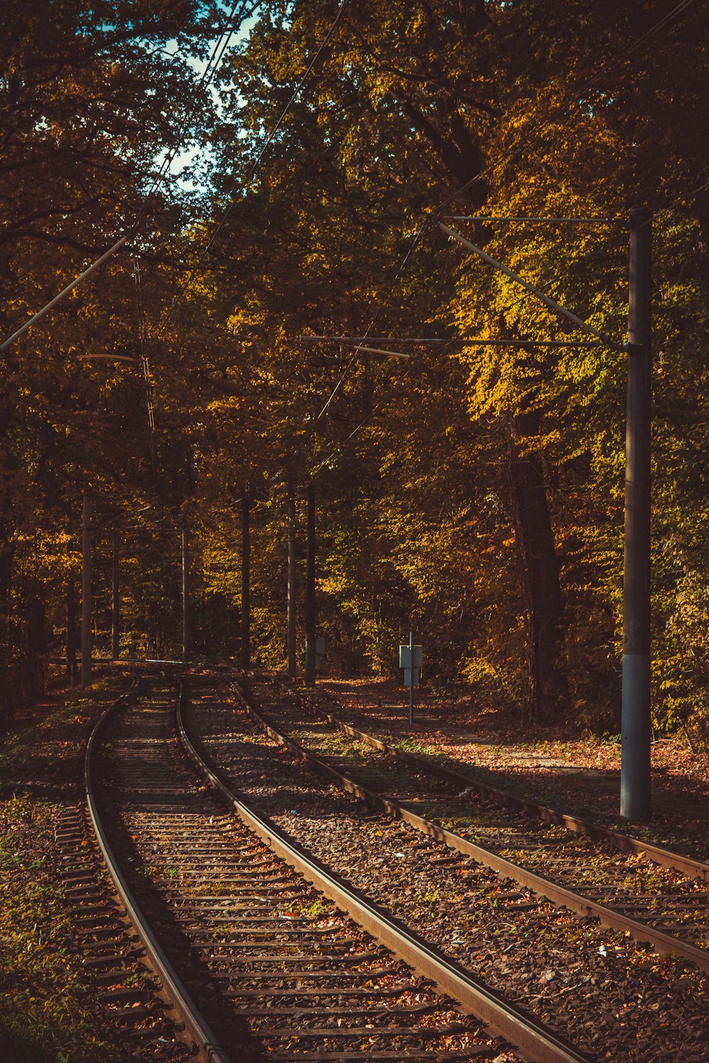 braune Eisenbahnschienen aus Metall