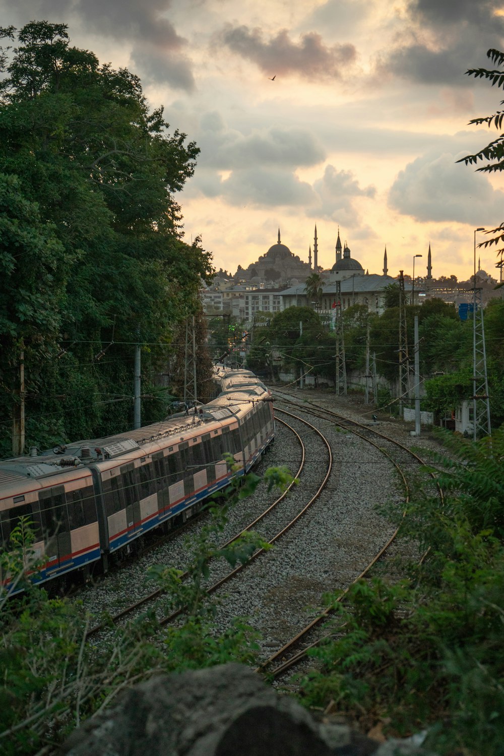 orange train