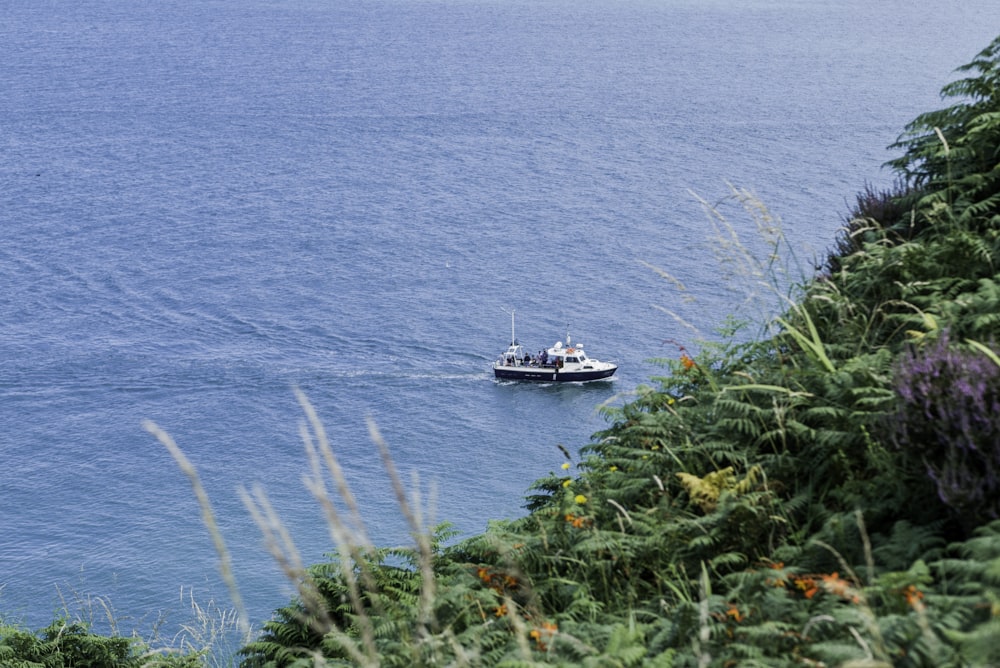 white and black sailboat in the middle of ocean