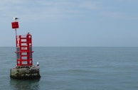 A red navigation buoy floats on the calm sea, with two seagulls perched on it. The buoy has a small red square fixture on top and the code LH8 on its side. The horizon is visible under a slightly overcast sky.