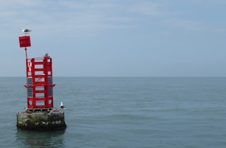 A red navigation buoy floats on the calm sea, with two seagulls perched on it. The buoy has a small red square fixture on top and the code LH8 on its side. The horizon is visible under a slightly overcast sky.