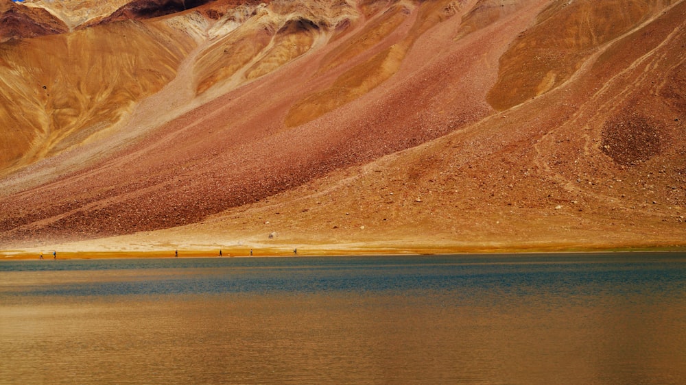 body of water and seashore