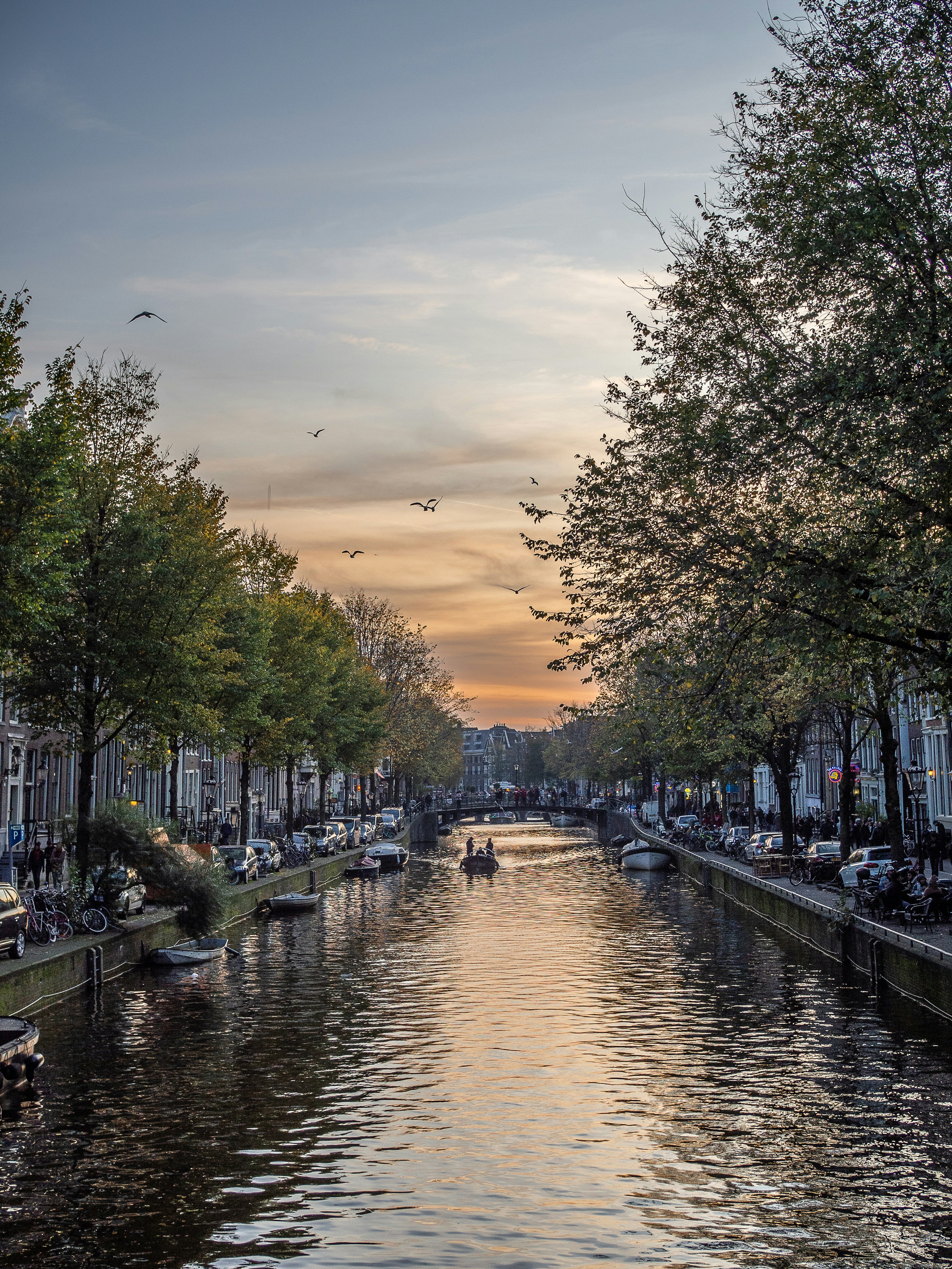 Mastering Law: Your Comprehensive Guide to an LLB in Netherlands