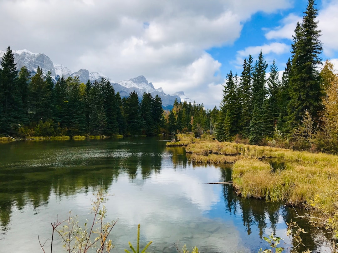 Nature reserve photo spot Canmore Banff,