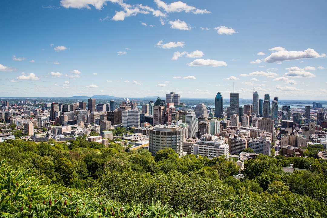 Oui Oui! Uncover Montreal&#8217;s Hidden Gems with These Local Insider Tips