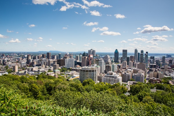 Mount Royal summer view Montreal