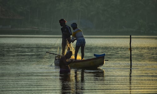 Fishermen in action at Vizhinjam