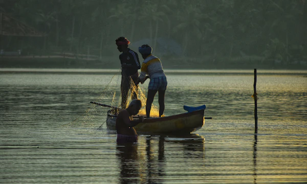 Fishermen spreading a net on the Poovar backwater