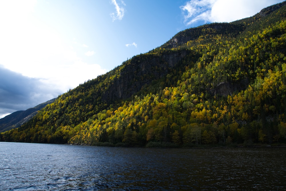 landscape photography of green mountain