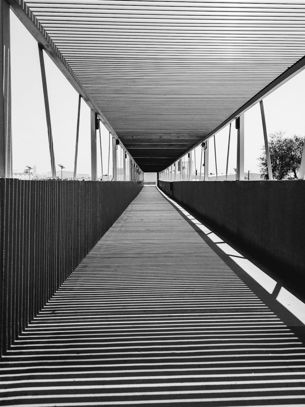 grayscale photography of pathway