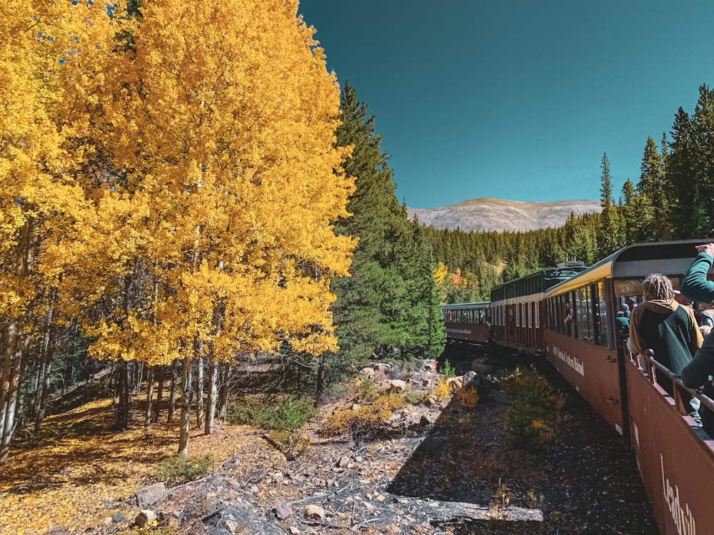 people riding train passing green and brown trees