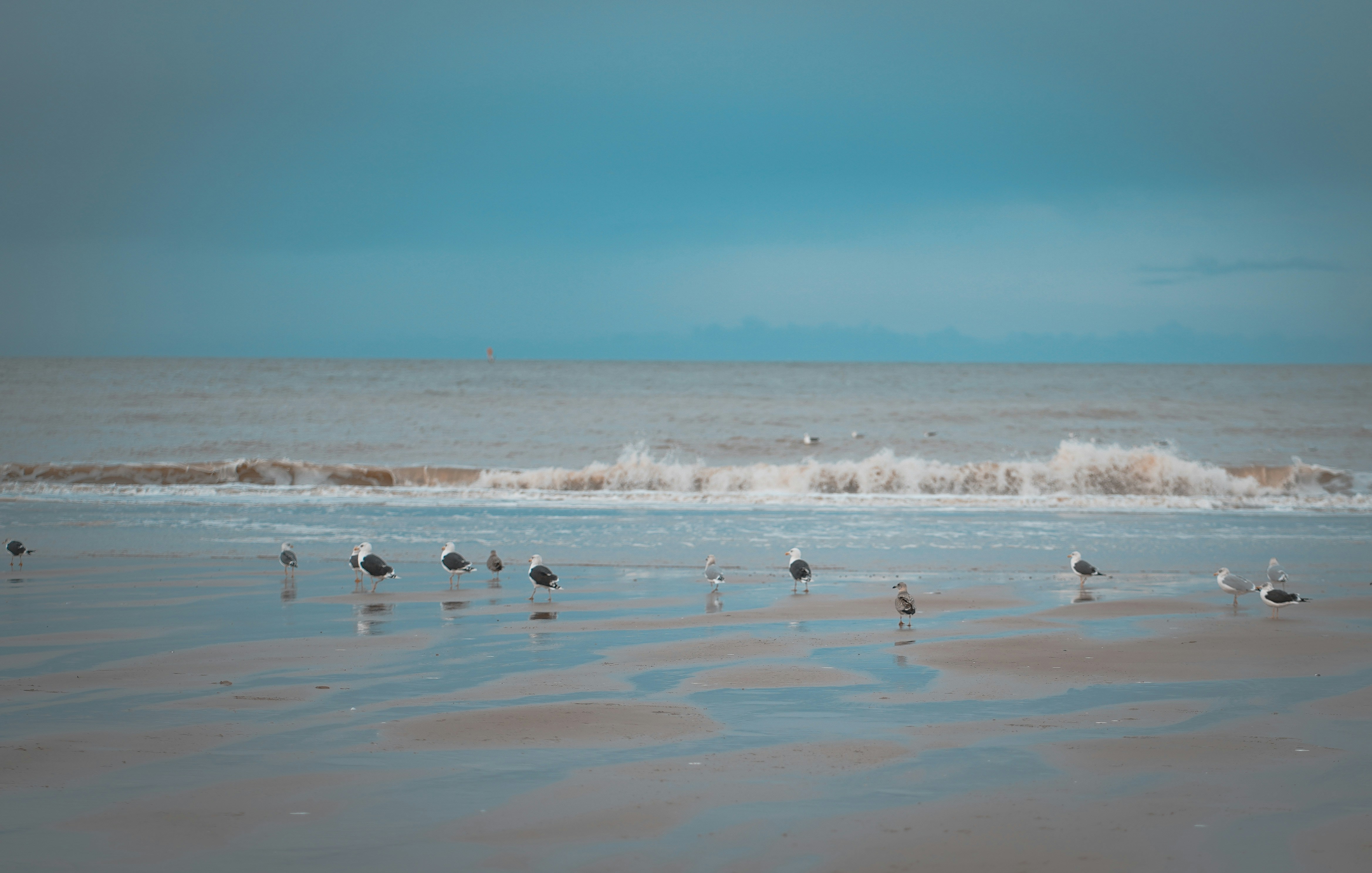 Photo by michelstock